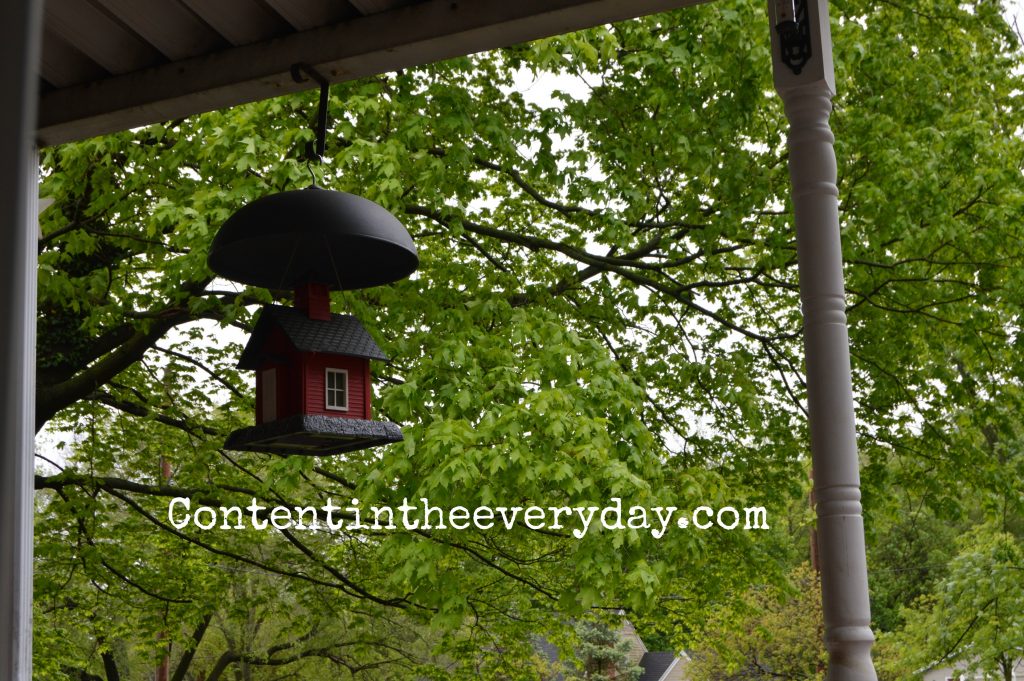 School house bird feeder surrounded by trees