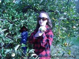 Girl holding apple