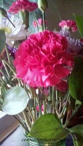Pink Carnation_with text