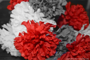 Red Carnations for Blog