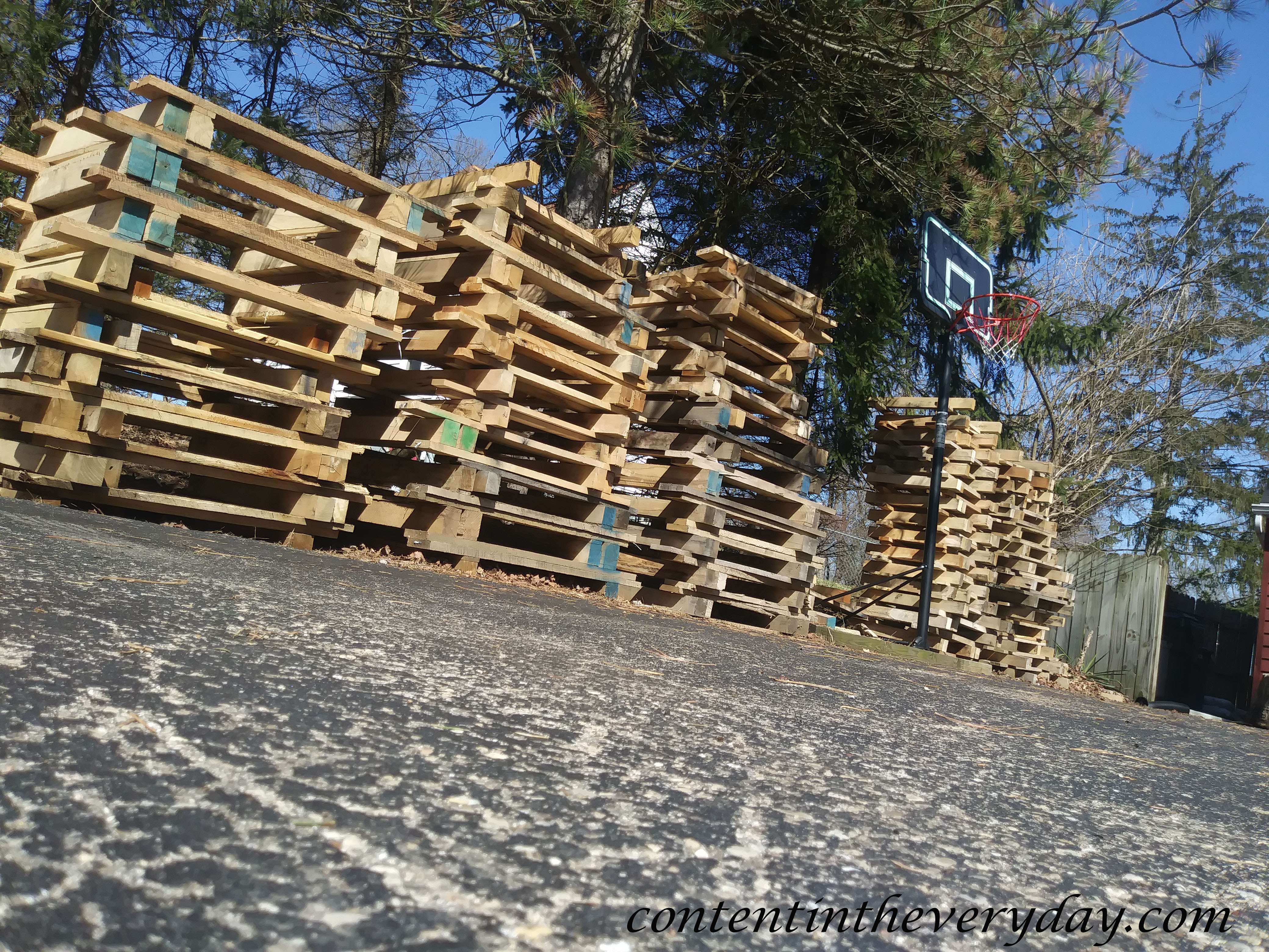 wood to cut