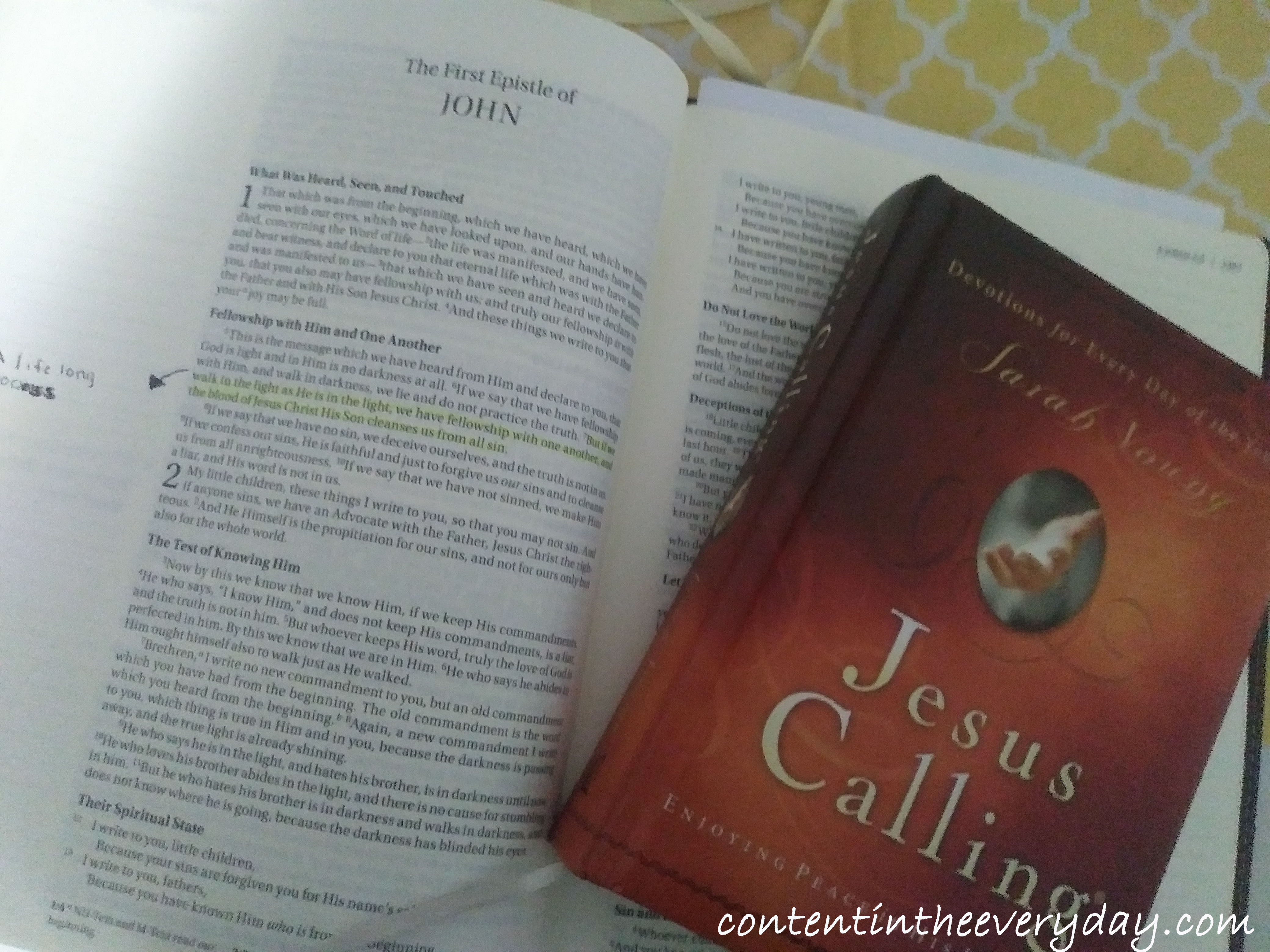 Bible and Devo_