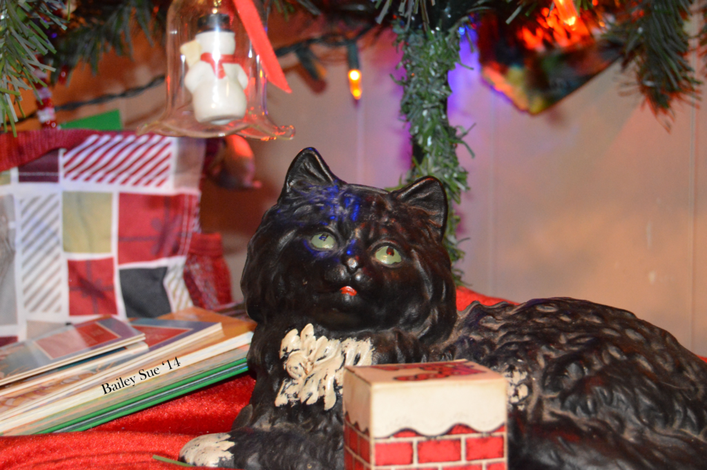 Christmas Cat_PNG