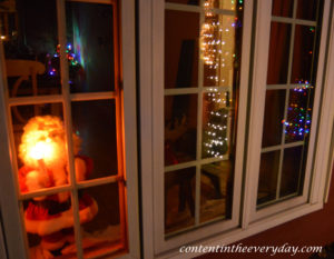 Christmas lights_with Blog URL
