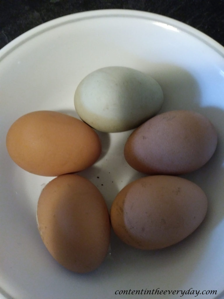 Farm Fresh Eggs_With blog URL