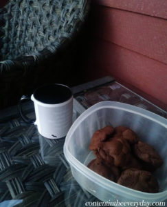 Chocolate Cookies and Coffee