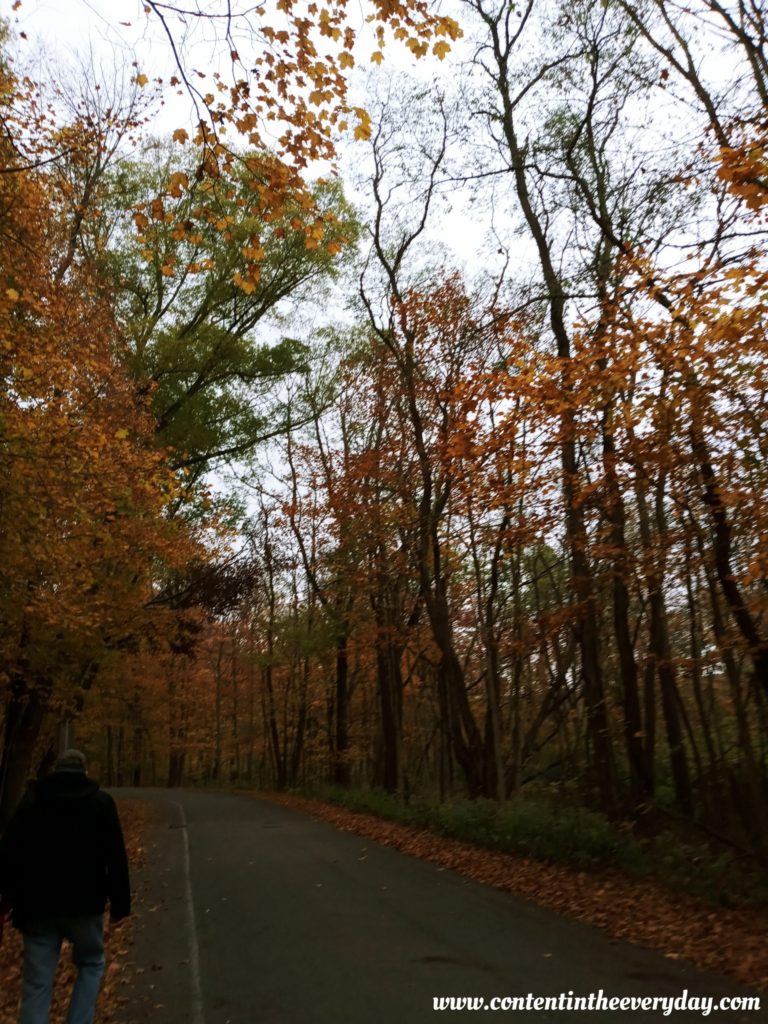 Fall Hiking Trail