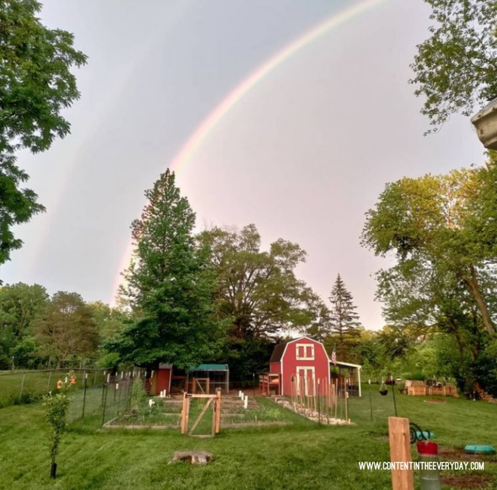 Double Rainbow Arcing over the Garden