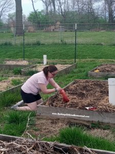 Bailey Sue Planting Onions